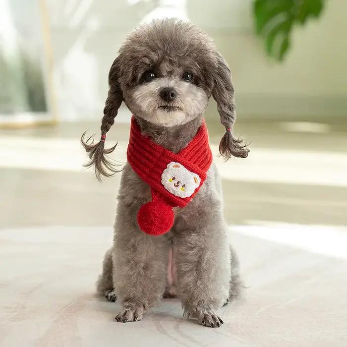 Écharpe tricotée pour chien