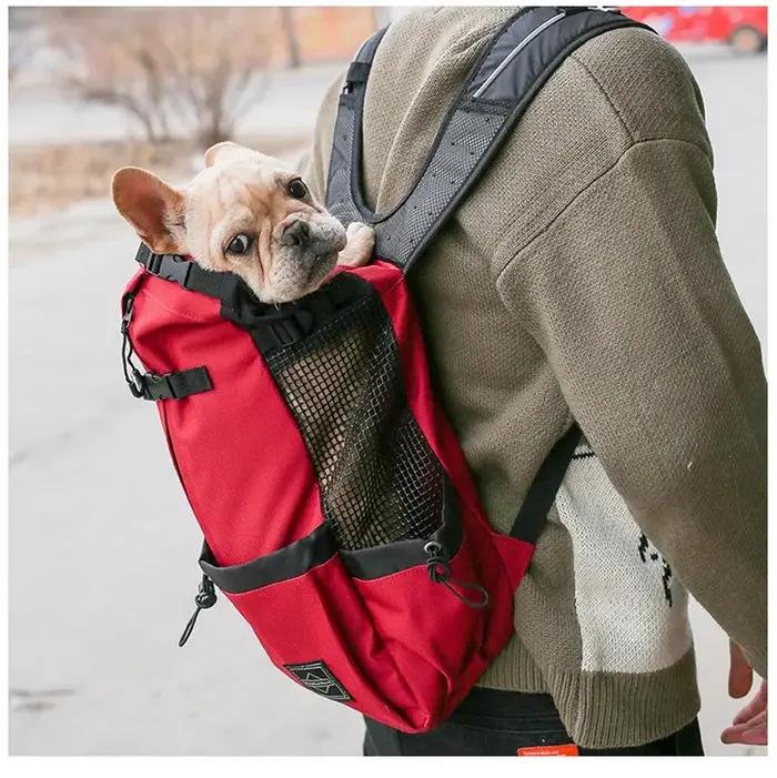 Sac à dos de randonnée pour chiens respirant et universel pour toutes les saisons et activités en plein air