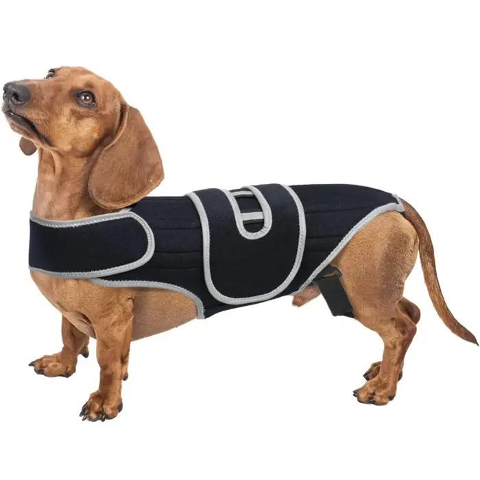 Attelle de soutien dorsal pour chien – Soulage la dysarthrose vertébrale