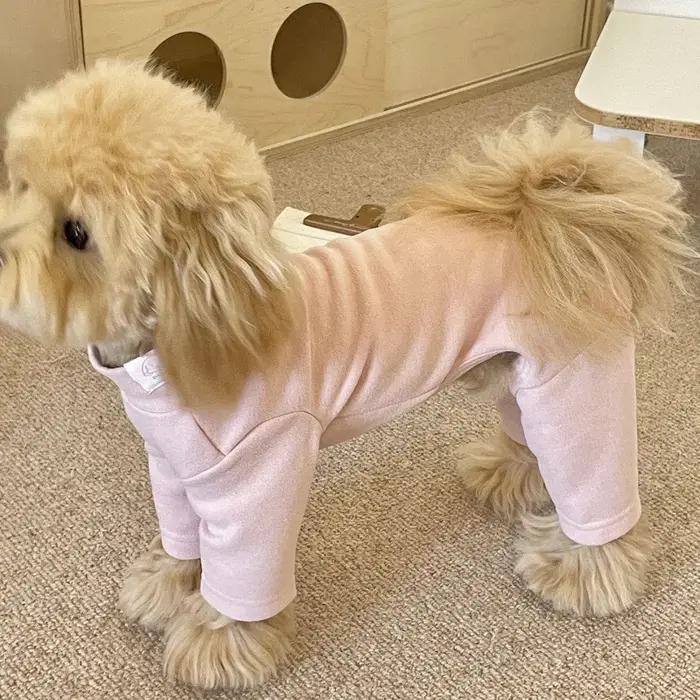 Combinaison chaude pour animaux de compagnie, automne-hiver, Dralon, quatre pattes, vêtements pour petit chien, Teddy, Bichon, Pomeranian, Schnauzer