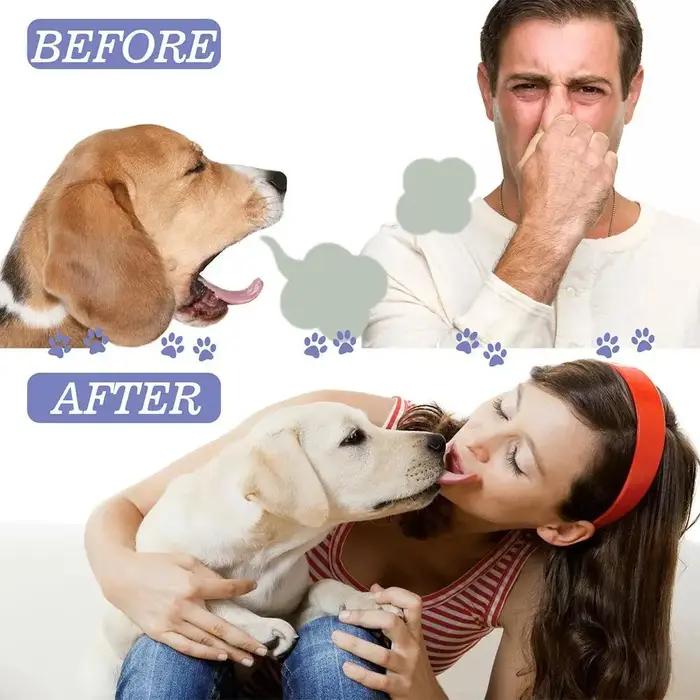 Spray buccal pour chiens soins bucco-dentaires préventifs élimination bactéries haleine fraîche réduction plaque tartre gencives saines usage quotidien occassions spéciales cadeau animaux de compagnie