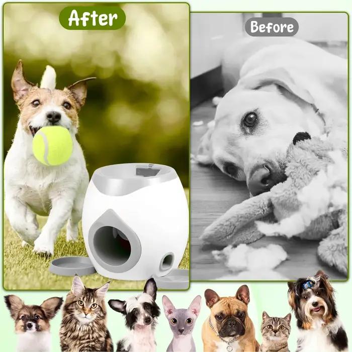 Lanceur de balles de tennis pour chiens