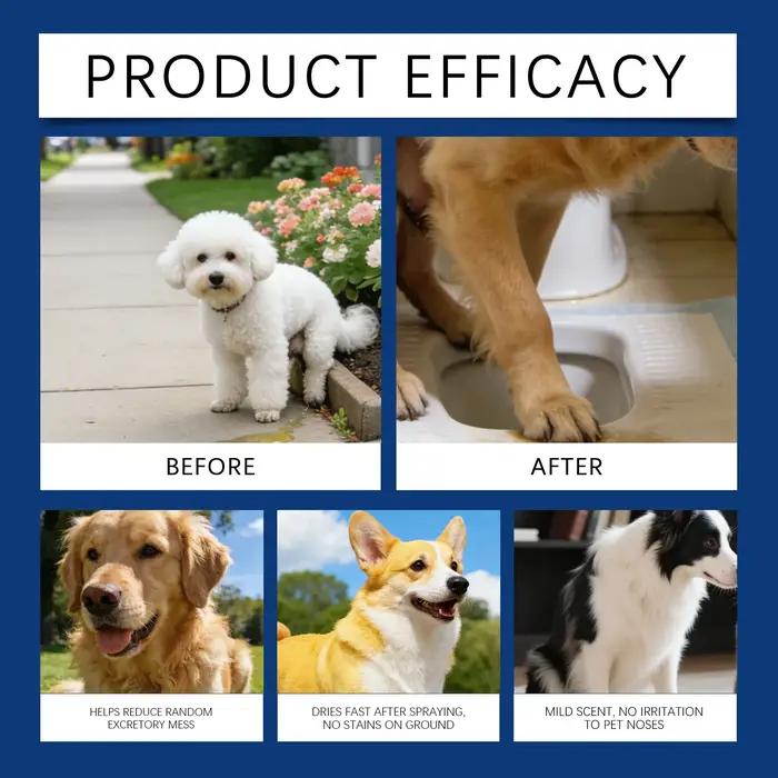 Spray d'apprentissage de la propreté pour chiens