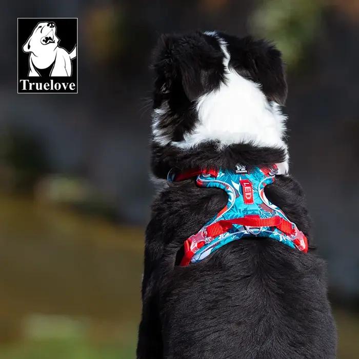 Truelove harnais pour animaux de compagnie petit moyen grand chien fendu mode extérieur livraison directe