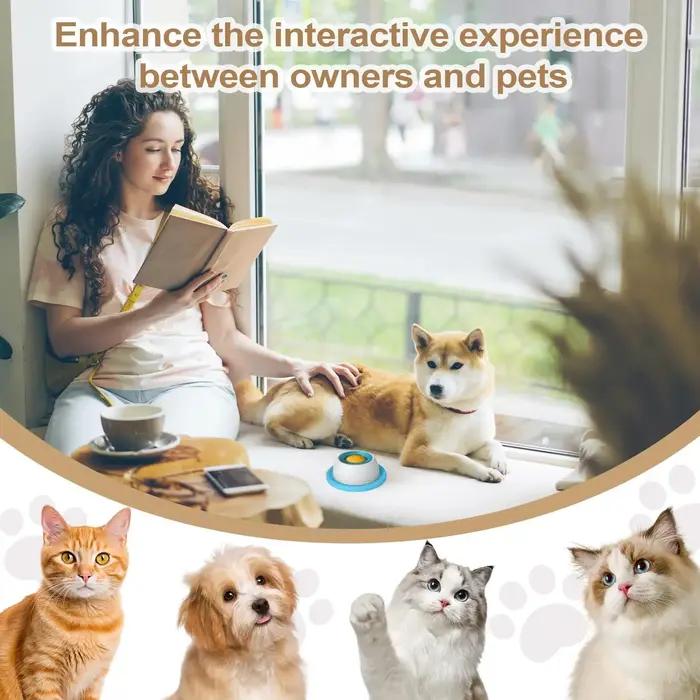 Jouet pour chien, accessoires d'alimentation pour animaux de compagnie