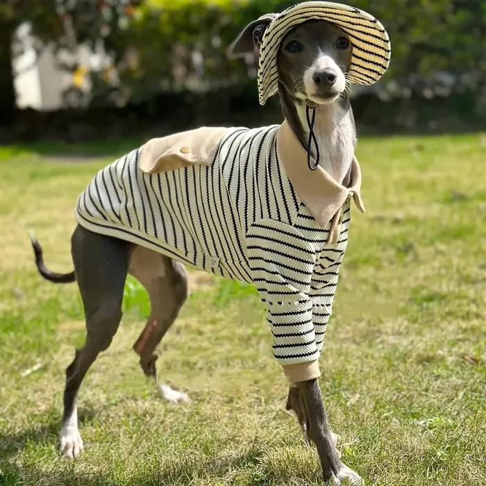 Ensemble de vêtements pour Whippet en coton kaki avec polo à rayures, chapeau et poche pour chien de chasse italien pour printemps et automne