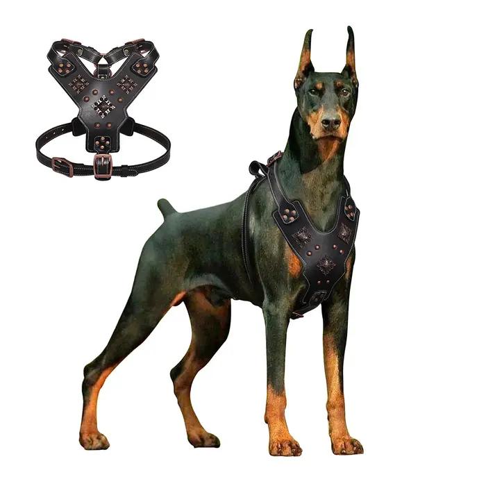 Harnais en cuir véritable pour grands chiens noir L XL confortable pour promenade randonnée balade chiens occasions spéciales