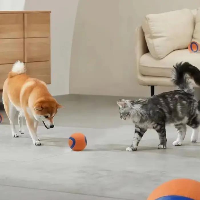 Balle de jeu résistante pour chien en caoutchouc pour activités extérieures et intérieures, balle de rapport, balle solide et élastique pour chiots et chiens adultes, cadeau idéal pour anniversaires et fêtes