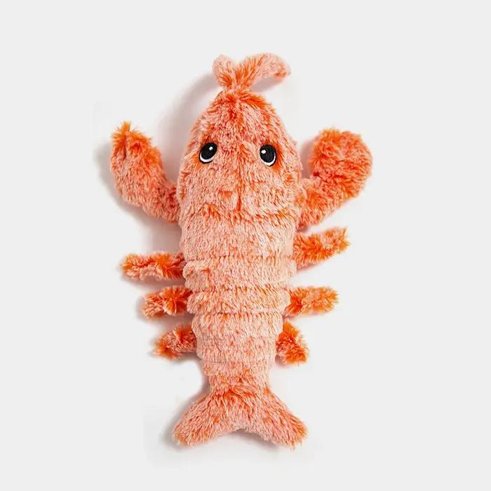 Jouet en Peluche Interactif pour Animal de Compagnie