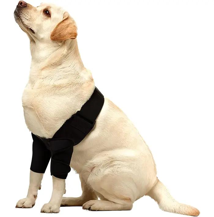 Protecteur complet de coudière pour chien pour toutes les races de chien, pour l'hygrome canin du co