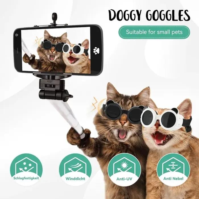 Lunettes de soleil pour animaux de compagnie