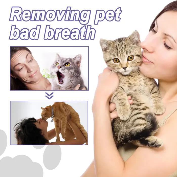 Gel dentaire pour animaux de compagnie, stylo de soins bucco-dentaires, combat la mauvaise haleine, contrôle du tartre, apaise les gencives, solution naturelle pour chiens et chats