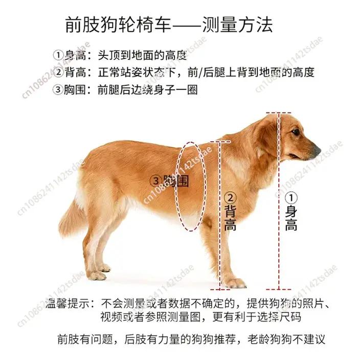 Fauteuil roulant léger pour chien à quatre roues pour pattes avant