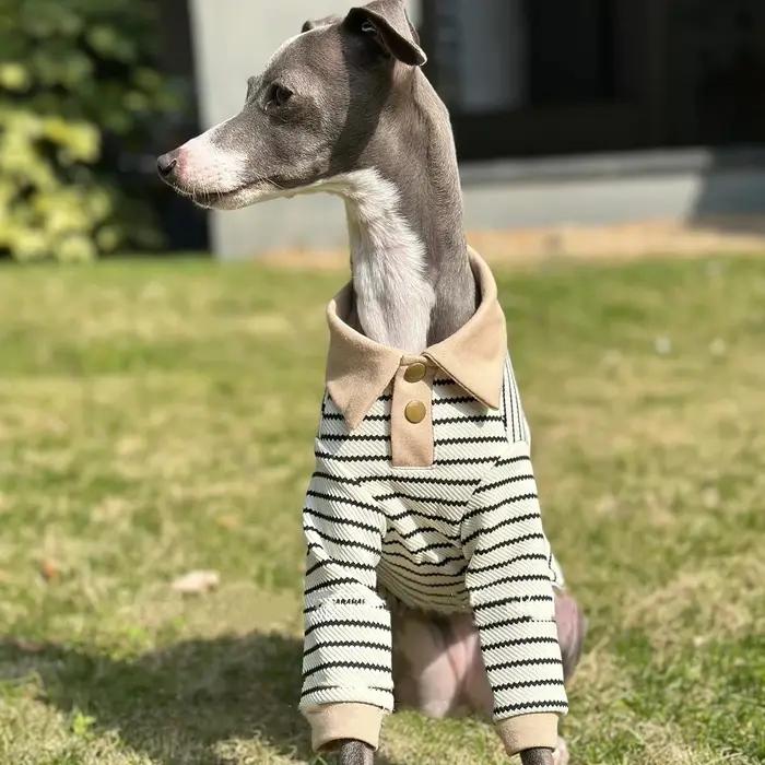 Ensemble de vêtements pour Whippet en coton kaki avec polo à rayures, chapeau et poche pour chien de chasse italien pour printemps et automne