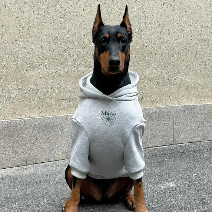 Grand chien à capuche hiver vêtements chauds pour Doberman berger allemand sweat-shirt à la mode