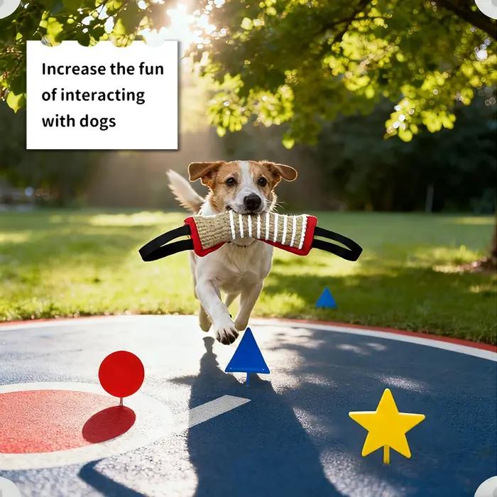 Produits d'entraînement pour chiens