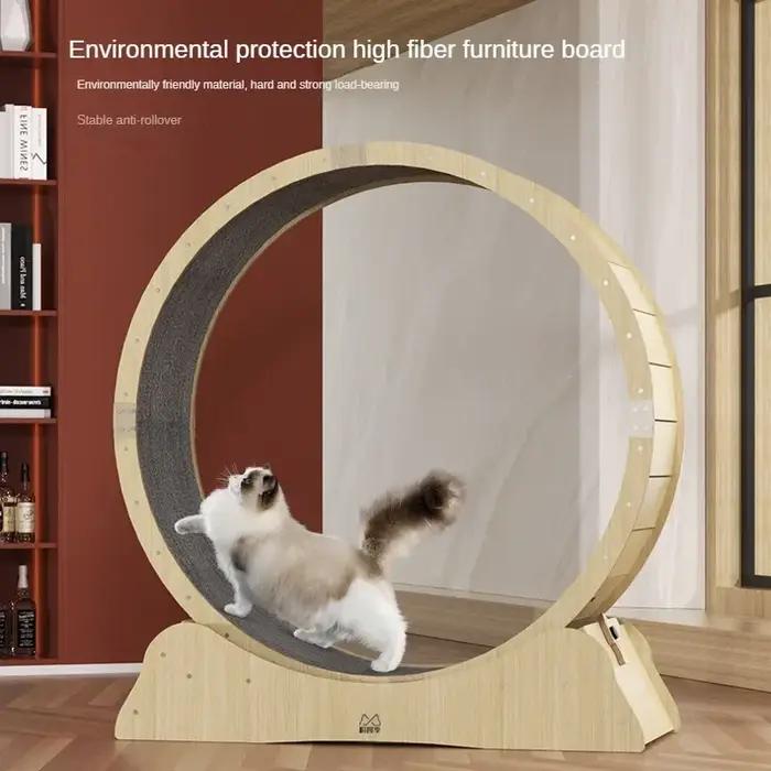 Tapis roulant pour chien et chat