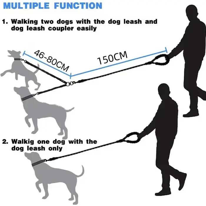 Laisse double pour chien