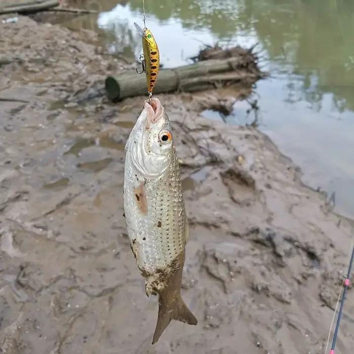 5 pièces Kit de leurres de pêche coulant vairon truite appât artificiel manivelle