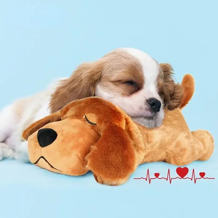 Animal de compagnie battement de coeur chiot comportement entraînement chien en peluche
