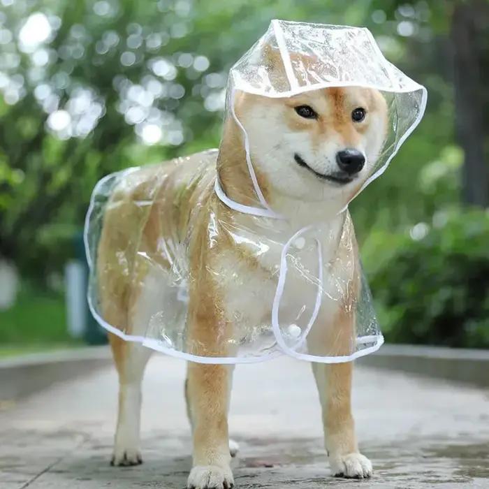 Vêtements de pluie transparents pour animaux de compagnie