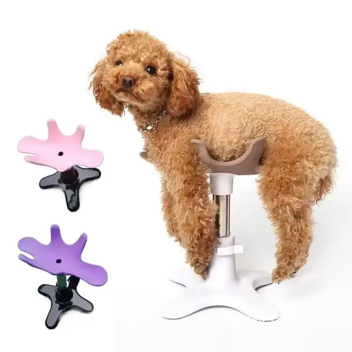 Table de toilettage pour chien réglable et sécurisée pour les soins courants et les compétitions de dressage