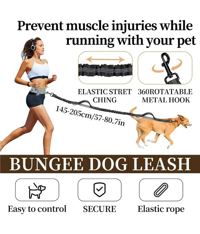 Laisse mains libres pour chiens avec fermeture éclair et poches réfléchissantes pour promenades et randonnées en forêt