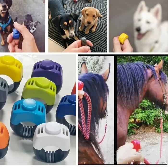 Cliqueur d'entraînement portable pour animaux de compagnie, sonnerie sonore, sans piles, pour dressage canin, professionnel, pour l'entraînement des animaux