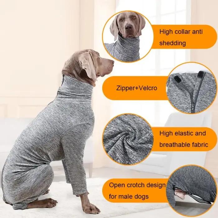 Costume de stérilisation pour animaux de compagnie