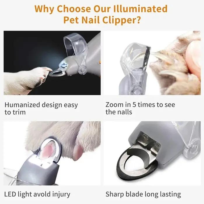 Coupe-ongles professionnel pour animaux de compagnie avec lumière LED