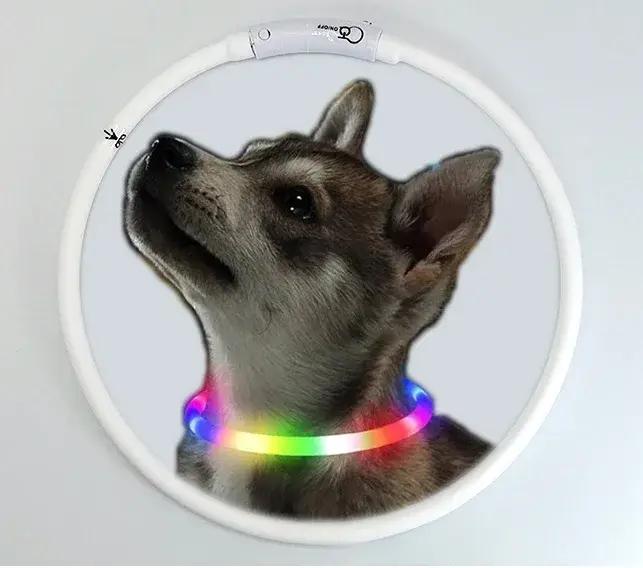 Collier de Charge Luminou pour chien