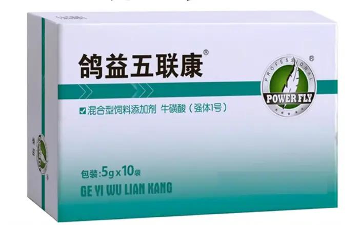 Complément de Santé Multiviral et Bactérien pour Pigeon Protection Adenovirus, Newcastle, Salmonella, Chlamydia, Influenza Occasions Spéciales Pigeon Maison Compagnon