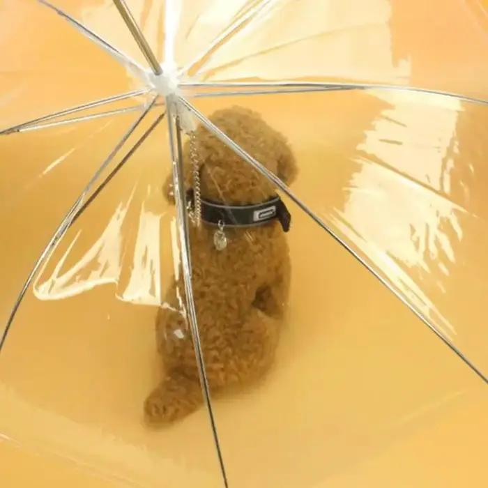 Garde-boue en peluche créatif pour petits chiens