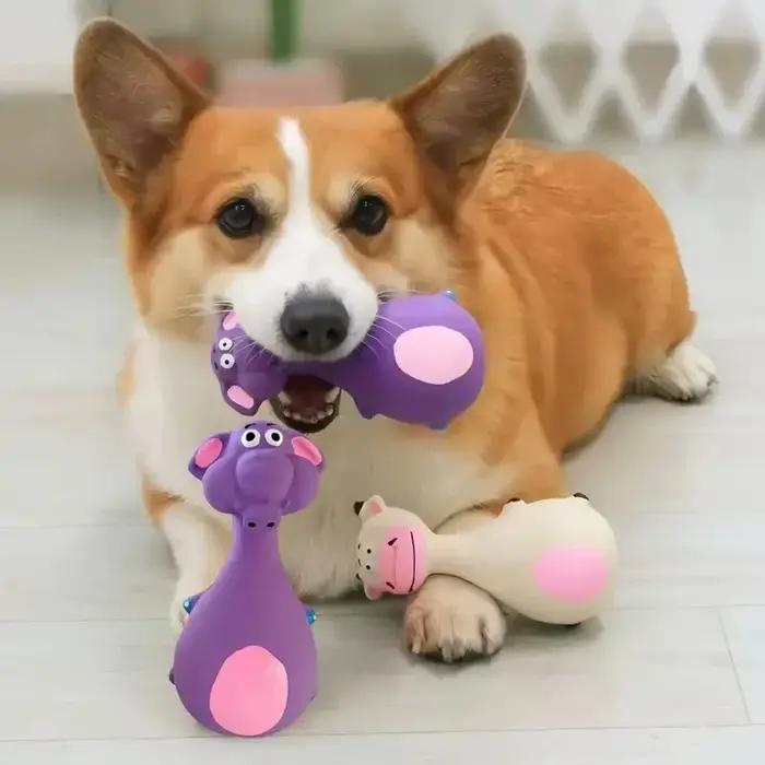 Jouets à mâcher en caoutchouc souple, quatre Styles, jeux de lancer interactifs grinçants, mignons et amusants, adaptés aux chiens de petite et moyenne taille