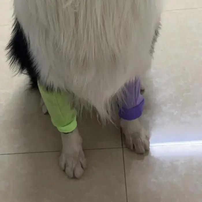 Protège-genoux respirants anti-léchage pour chien – Chaleur pratique