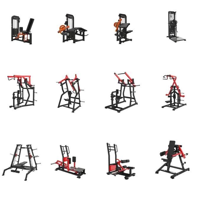 Machine professionnelle de boucles de biceps et de triceps