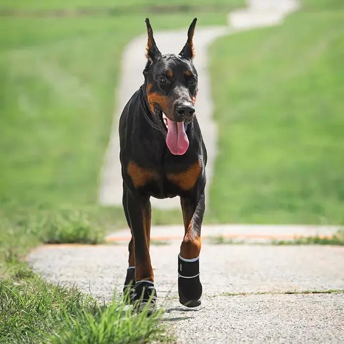 Bottes imperméables et respirantes en coton et caoutchouc pour chiens occasions hivernales et jeux en plein air
