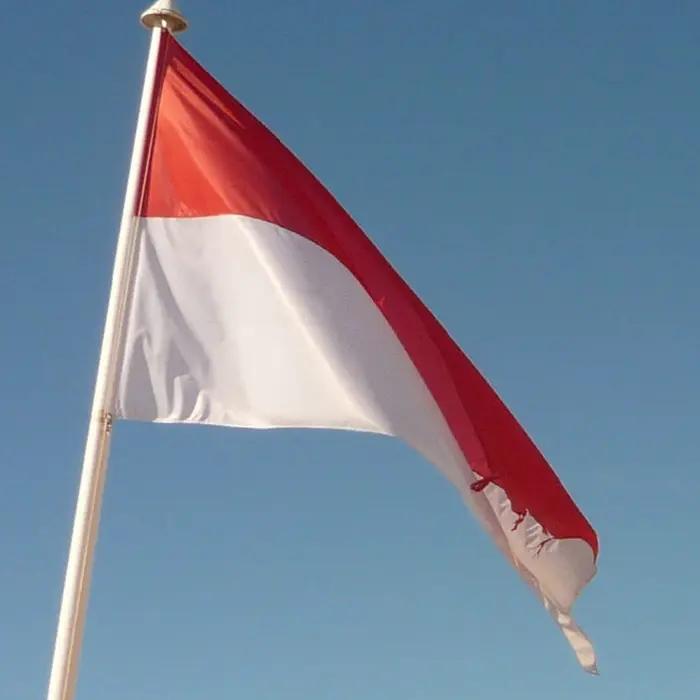 Candway 90x150 CM Le Principauté du Monaco drapeau
