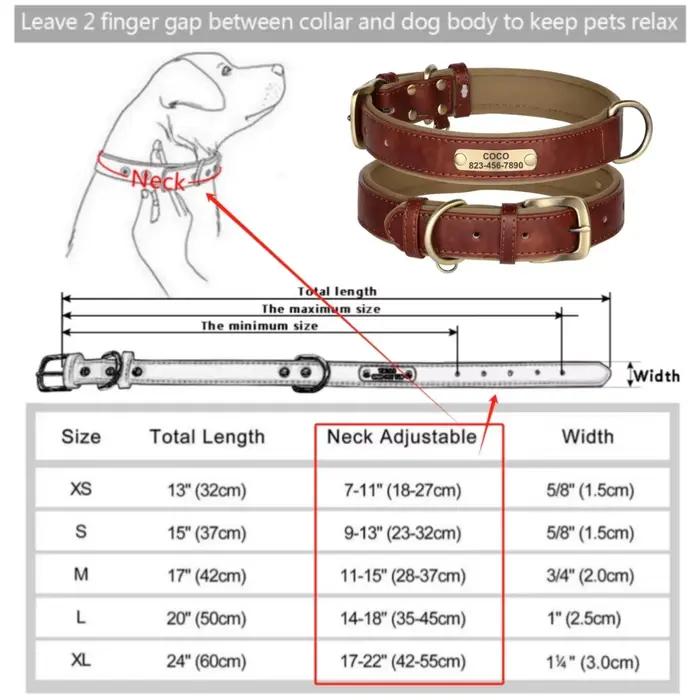 Collier de chien personnalisé en cuir