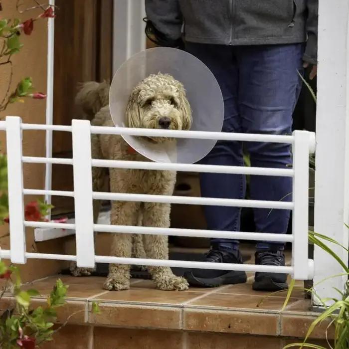 PupMED-Clôture courte rétractable extra large pour animaux de compagnie