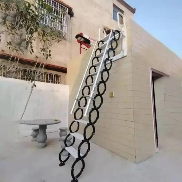 Échelle télescopique murale extérieure en acier au carbone, échelles de levage pour la maison, escal