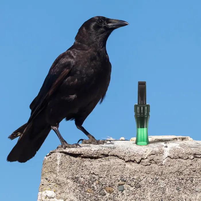 Sifflet appel corbeau plastique imitation décoy chasse observation oiseaux dispositif appel corvidés extérieur