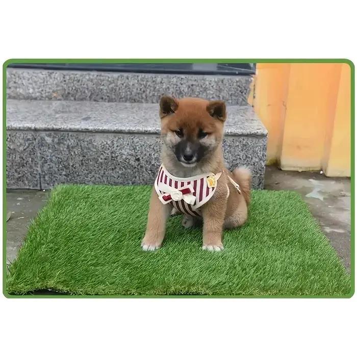 Coussin de pot pour chien en herbe artificielle – Solution de formation pour animaux de compagnie intérieure/extérieure