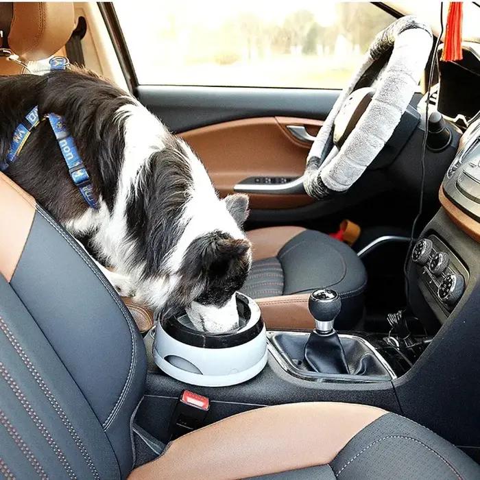 Bols flottants pour animaux de compagnie