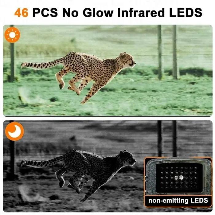 Caméras de chasse 16MP 1080P avec vision nocturne infrarouge 940nm, caméra étanche pour la surveillance et le repérage de la faune sauvage