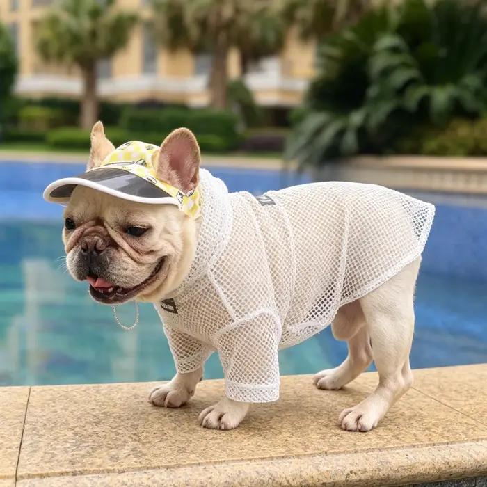 Chapeau de soleil pour chien