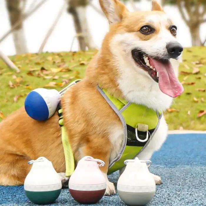 Bouteille d'eau portable pour animaux de compagnie, distributeur d'eau en silicone pour chiens, pour les promenades en plein air, gobelet à eau pour chats, bouteille d'eau pour chiens en plein air
