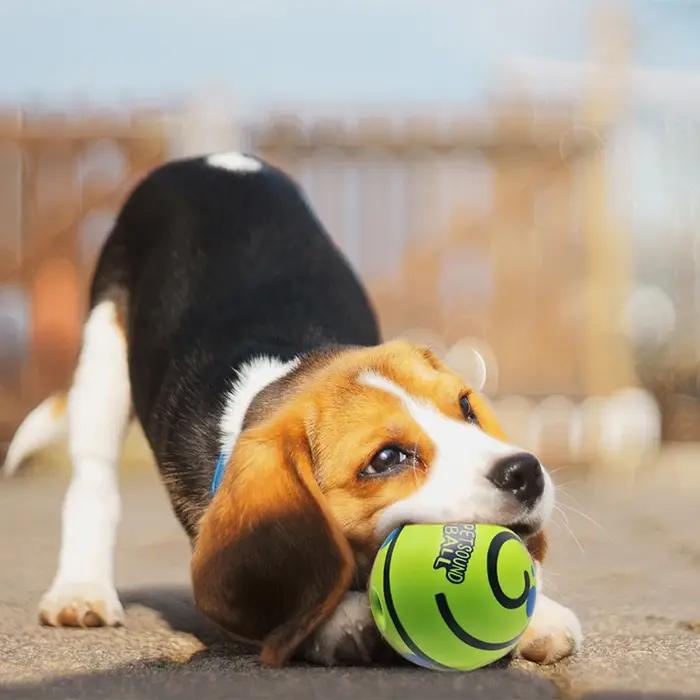 Jouet Symbole Amusant pour Chien de Compagnie