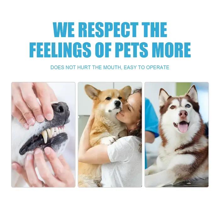 Dentifrice enzymatique pour chiens et chats pour haleine fraîche et soins dentaires amusants occasions quotidiennes cadeaux d'anniversaire et Noël