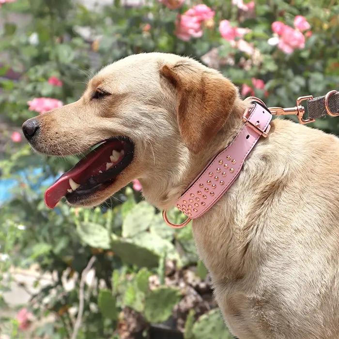 Collier en cuir clouté pour animaux de compagnie, réglable, durable, grand, moyen, grand, chiot, pitbull